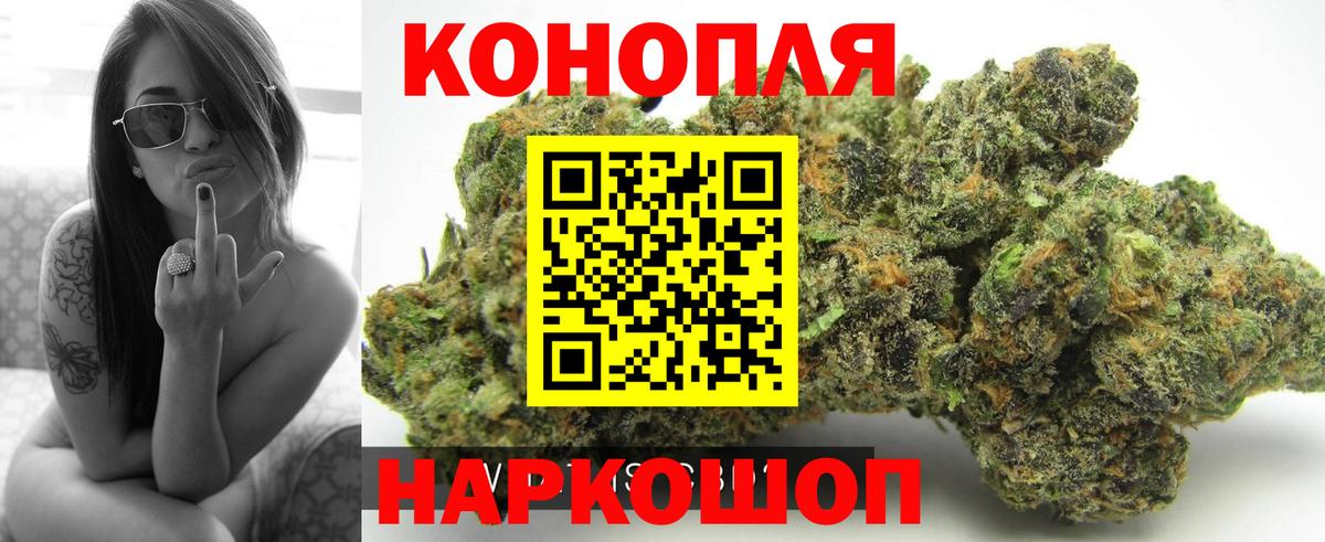 Конопля гибрид Серпухов